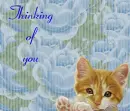 Thinking of you