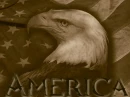 American Eagle