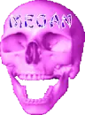 megan's skull