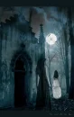 Dark Night