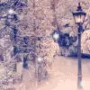 snow fall
