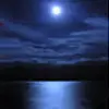 serene night