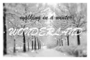 Winter Wonderland