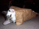 Its  a little chilly outside
