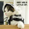 poor cat