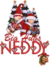 Neddy