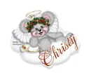 Christy bear