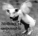 Flying pig