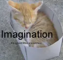 the possibilities are endless
