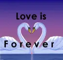 love is forever