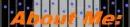 About me Banner Jail style