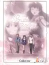 Fruits Basket