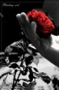 white and black and red rose