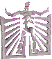 Skeleton