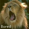 bored