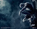 black spiderman