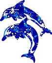 dolphin