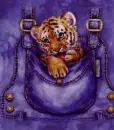Tiger In My pocket