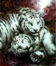White Tigers