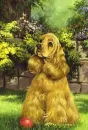 Cocker Spaniel