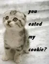 My Cookie?