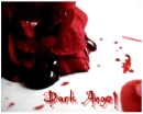 dark angel