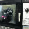 black cat