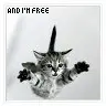 flying cat