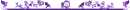 purple divider