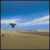 fight ichigo