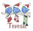 Teresa