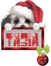 Tasia 