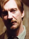 Lupin