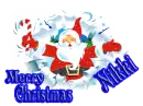 merry christmas nikki