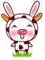 cute cow