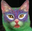 weird cat