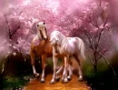 horses