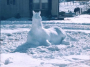  snow horse