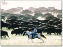 Buffalo Round Up