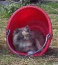 Here I Am