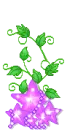 violet star