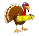 turky