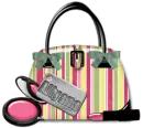 Pink, green bag- Allynna
