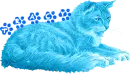 tracy blue cat