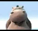 The Hipoo