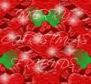 merry christmas friends
