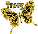 tracy gold&black butterfly