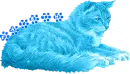 fayeth's blue cat