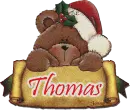Snow Bear: Thomas