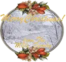 Merry Christmas from The Mills Family